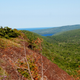 Illustration for article titled What Say We Go Do Brockway Mountain Drive?